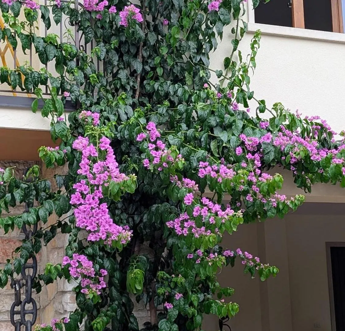 Charming Lake Garda Escape location