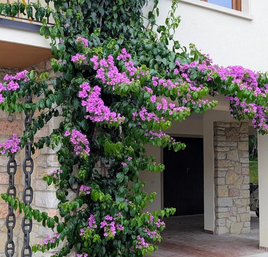 Charming Lake Garda Escape Торри-дель-Бенако Апартаменты
