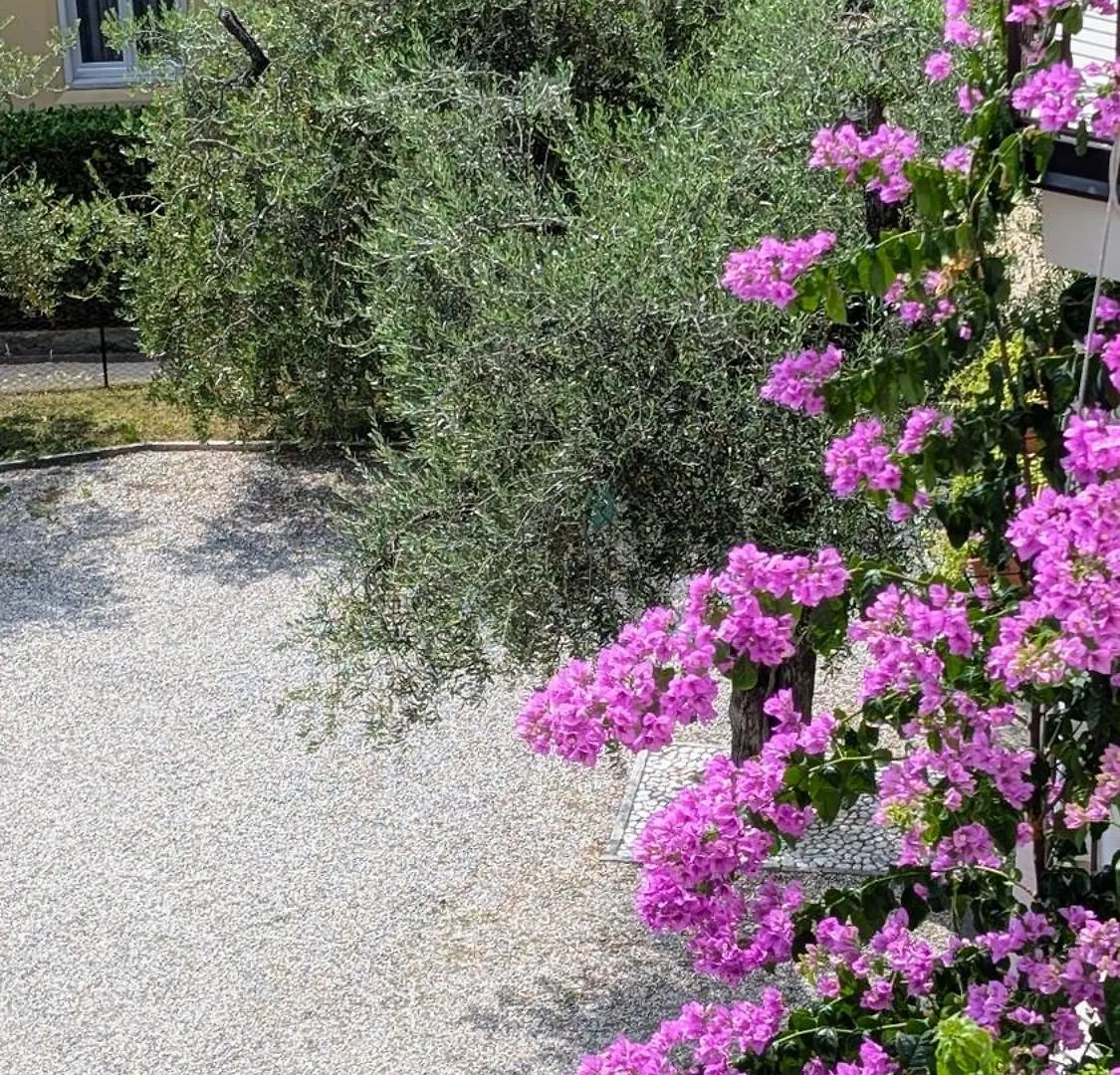 Апартаменты Charming Lake Garda Escape Торри-дель-Бенако